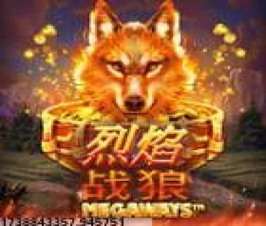 航海王强者之路